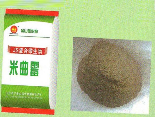 點(diǎn)擊查看詳細(xì)信息<br>標(biāo)題：米曲霉 閱讀次數(shù)：2366